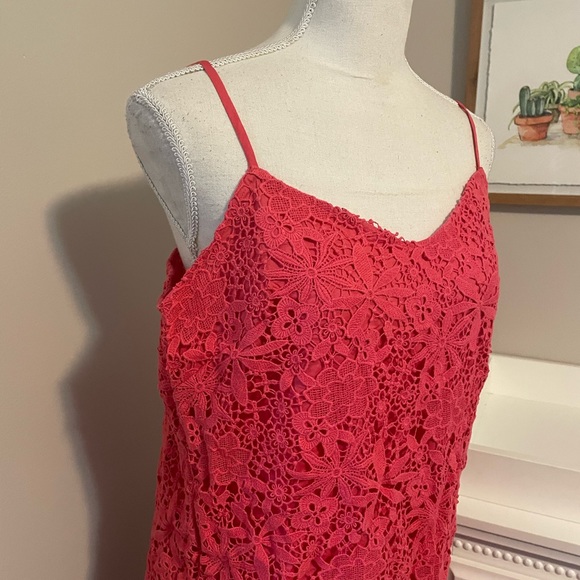 Lined lace J Crew dress - Picture 2 of 5